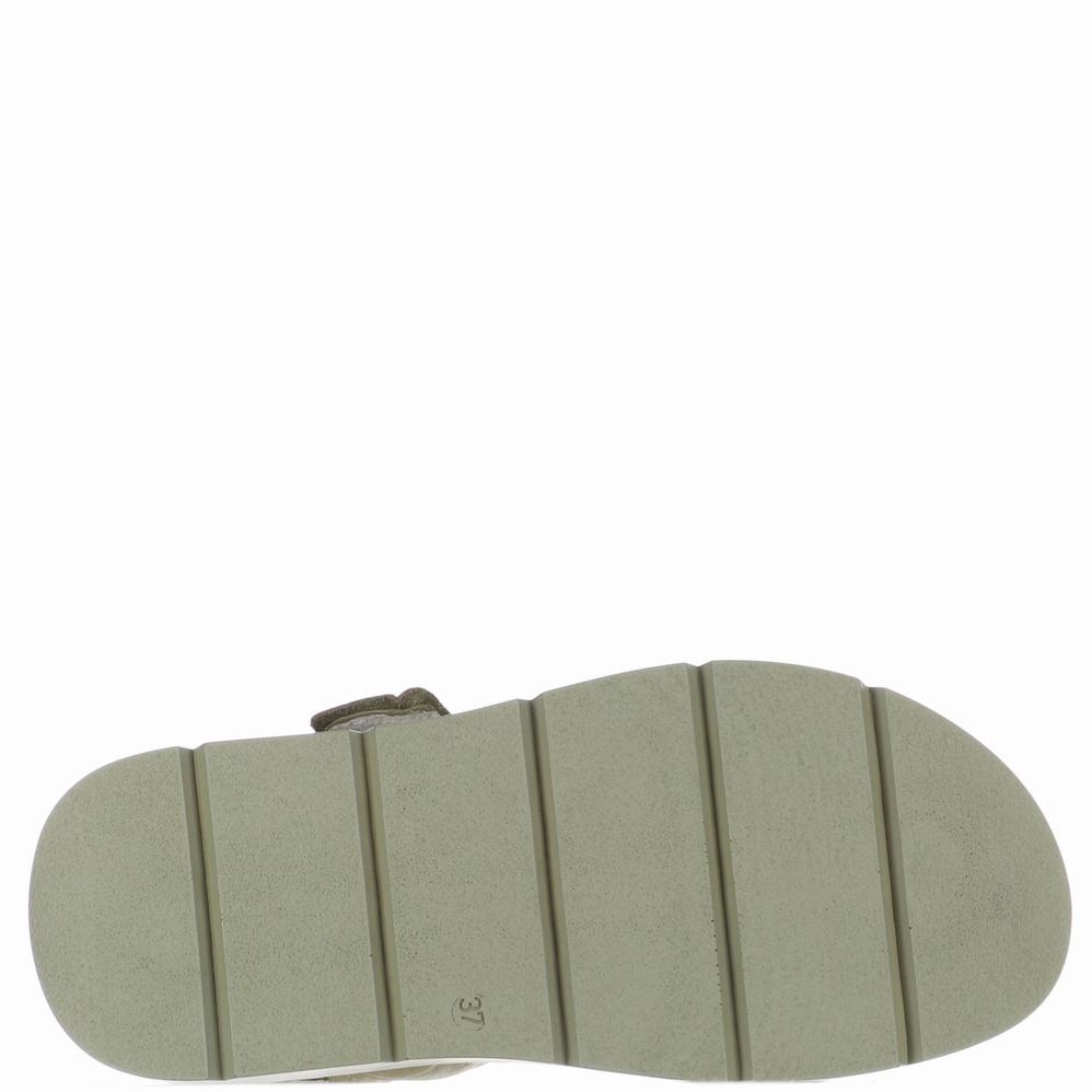 Sandały Pajar Stana Damskie Khaki | UCF5633KD